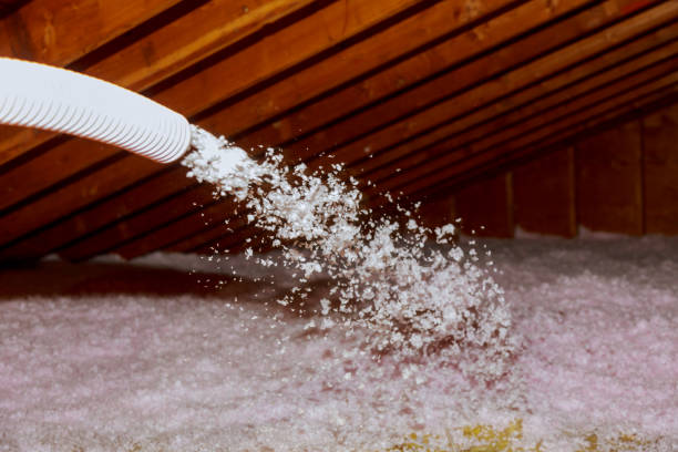 Best Attic Insulation Installation  in Ulysses, KS