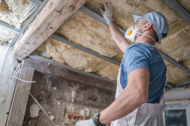 Best Best Insulation Companies  in Ulysses, KS